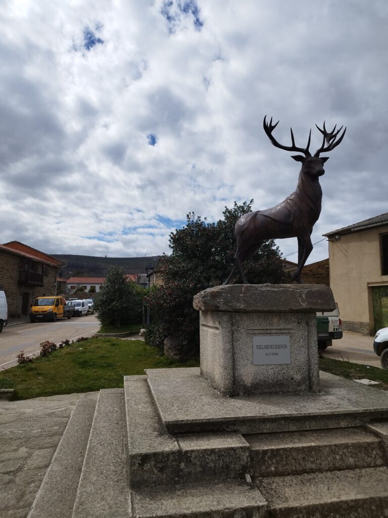 escultura de un ciervo en la plaza del municipio de Villardecviervos