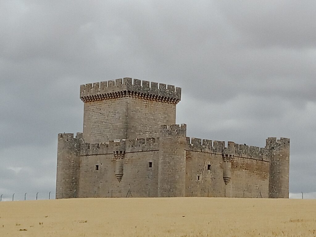 Castillo de Villalonso, Zamora